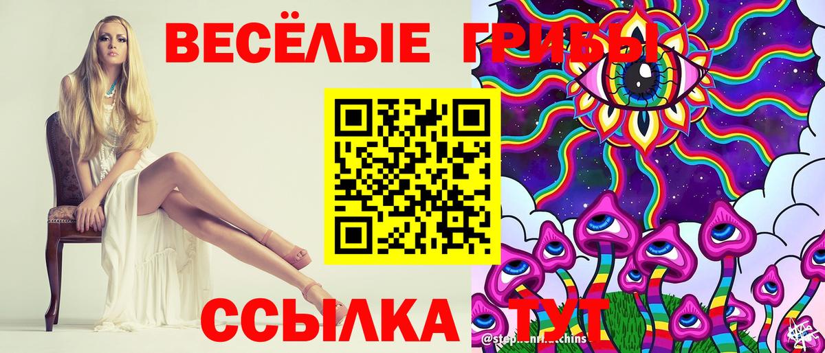 Галлюциногенные грибы Psilocybine cubensis Великие Луки