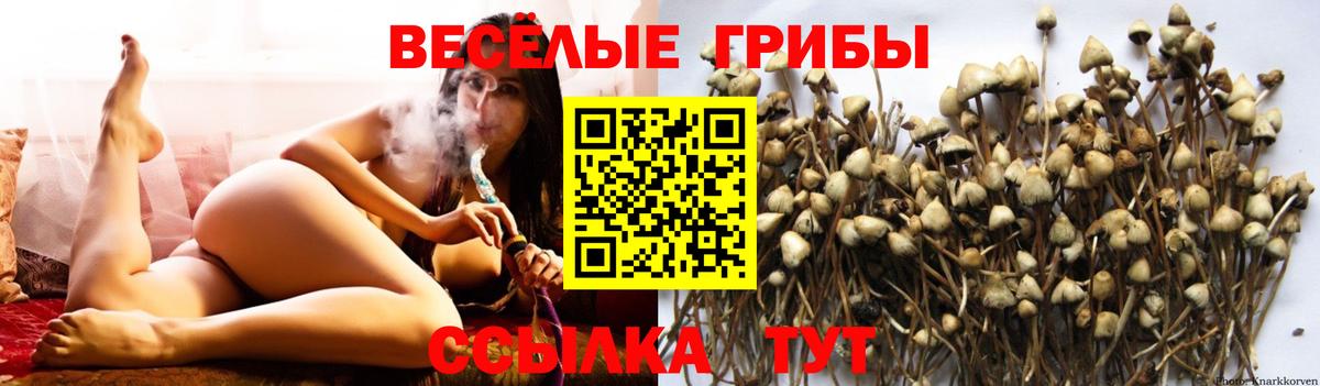 Псилоцибиновые грибы ЛСД  Вход с VPN  Великие Луки 